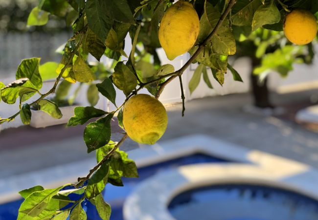 Вилла на Miami Playa - LEMON Villa con piscina y Wifi gratis Вилла на Miami Playa - LEMON Villa con piscina y Wifi gratis