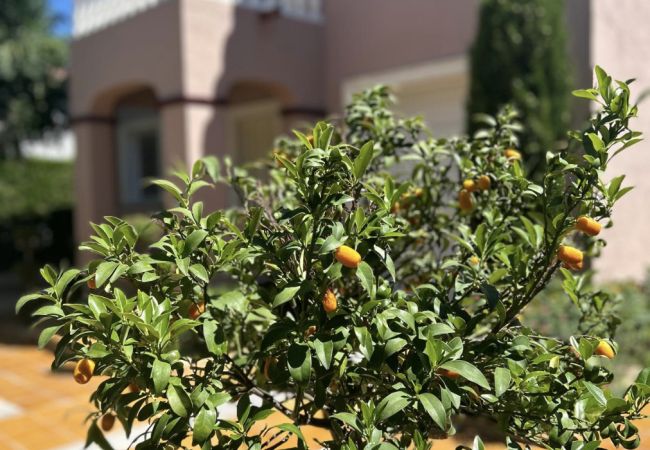 Вилла на Miami Playa - NAPOLEON Villa piscina privada, BBQ, Wifi gratis Вилла на Miami Playa - NAPOLEON Villa piscina privada, BBQ, Wifi gratis