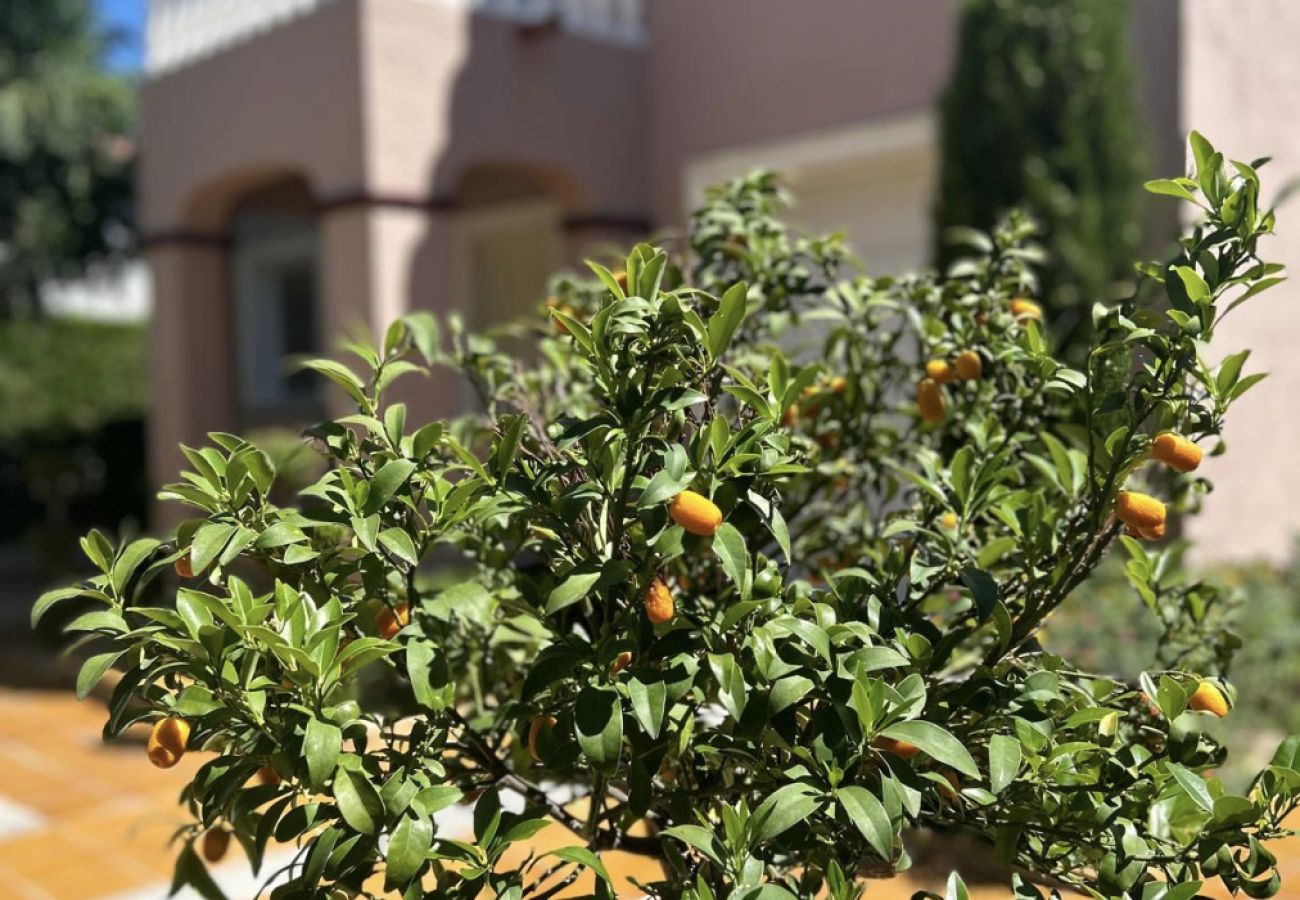 Вилла на Миами Плайя - NAPOLEON Villa piscina privada, BBQ, Wifi gratis Вилла на Миами Плайя - NAPOLEON Villa piscina privada, BBQ, Wifi gratis