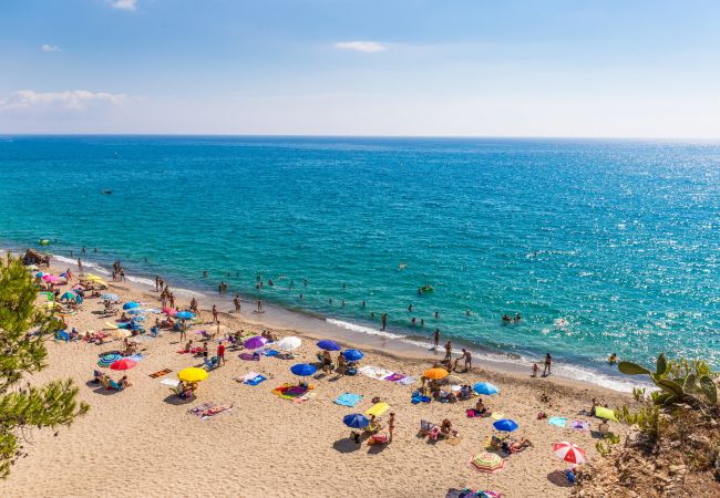 Вилла на Miami Playa - ALAMO Gran villa piscina privada y WiFi gratis Вилла на Miami Playa - ALAMO Gran villa piscina privada y WiFi gratis