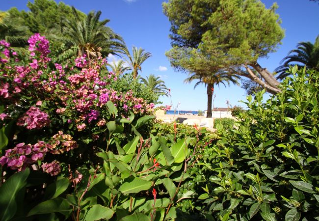 Таунхаус на Miami Playa - PORTOFINO Casa 1ª línea, BBQ y Wifi gratis Таунхаус на Miami Playa - PORTOFINO Casa 1ª línea, BBQ y Wifi gratis