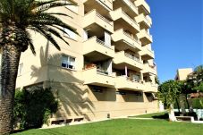 Апартаменты на Miami Playa - APARTAMENTO A 20M DEL MAR
